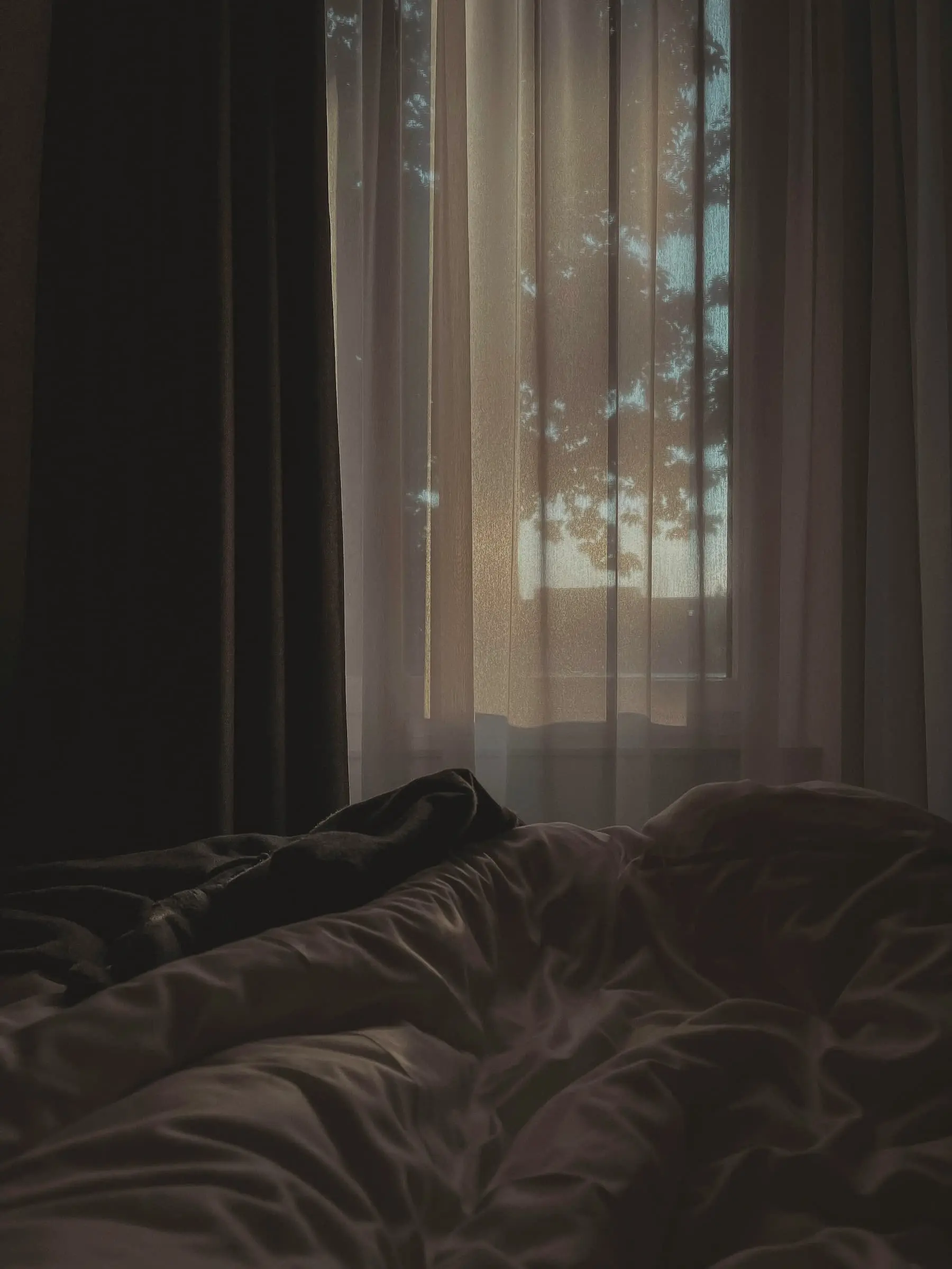 Grey light through sheer curtains over a tangled dark bed